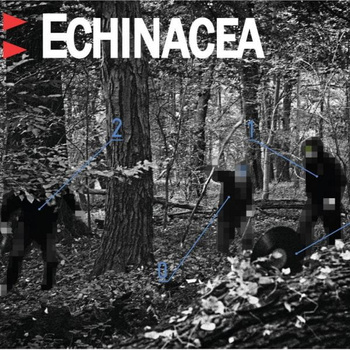 PŁYTA ECHINACEA "ECHINACEA" + GRATIS